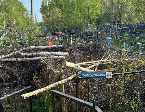 Спиленные ветки на кладбище в Кинешме пообещали убрать за неделю